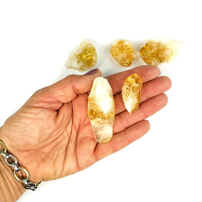 Rough Citrine in a hand showing assorted sizes