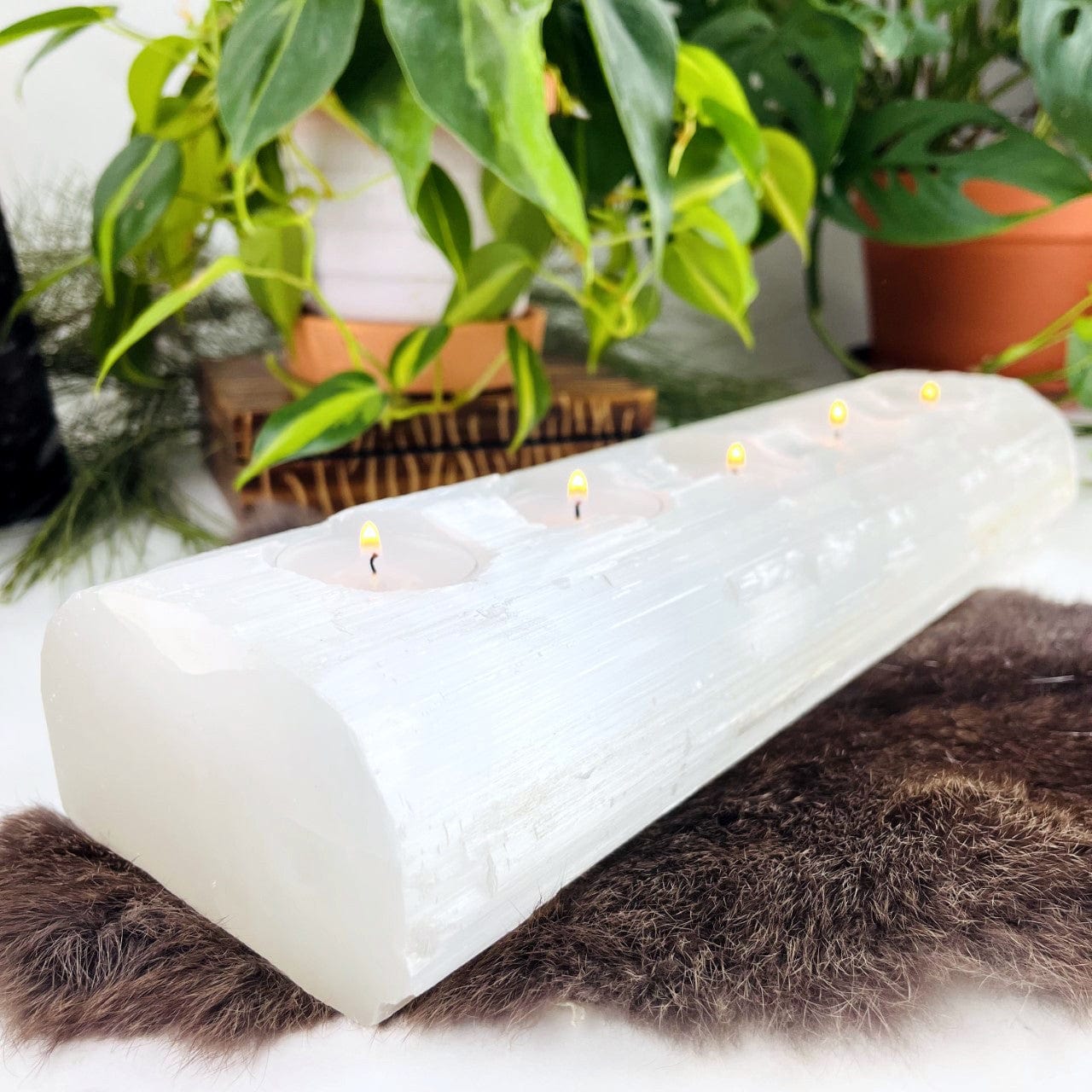 Selenite Candle Holder XL Size with 5 Holes for Votives Lit on display