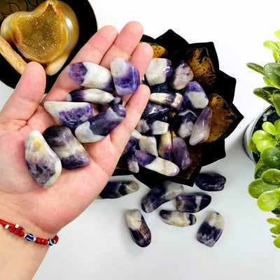 Chevron Amethyst Tumbled Gemstones in a hand and others in background in a bowl