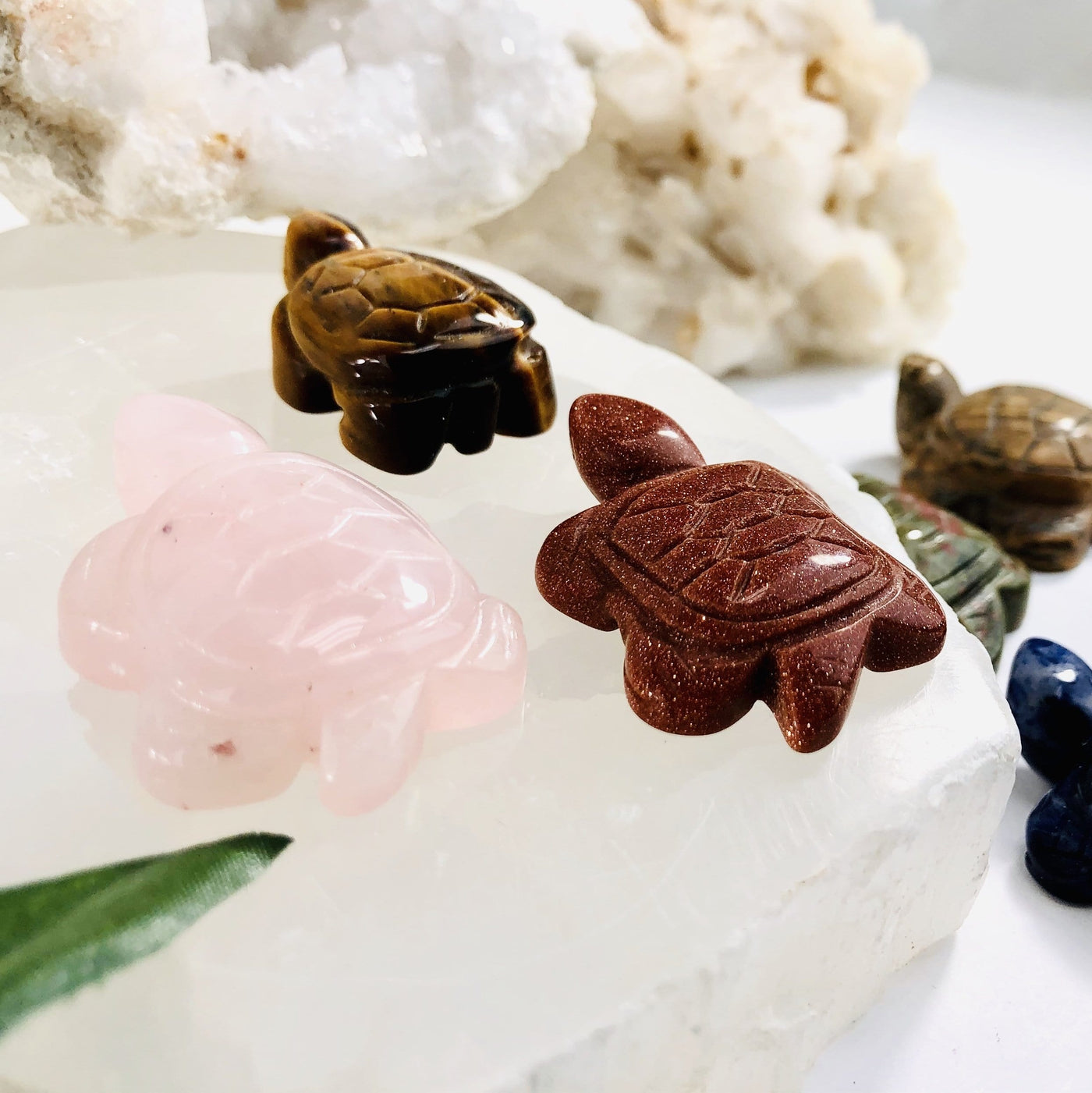 close up of gemstone turtles