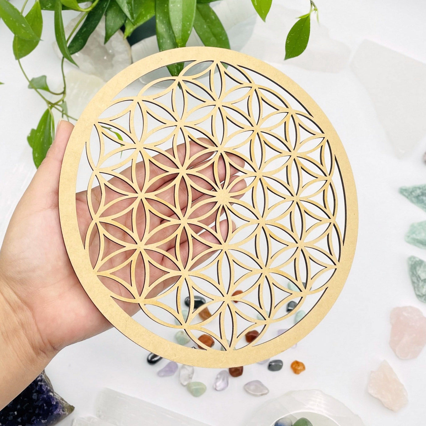hand holding up flower of life crystal grid with stones and plants in the background