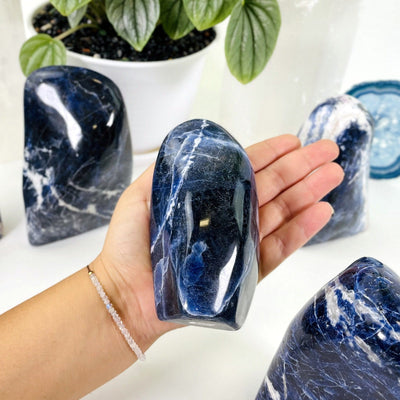 one sodalite polished cut base in hand for size reference with three others in background display