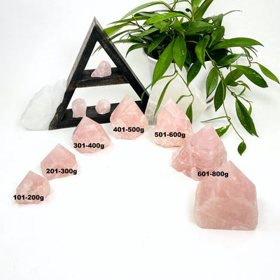 multiple rose quartz semi-polished point showing different sizes in grams 