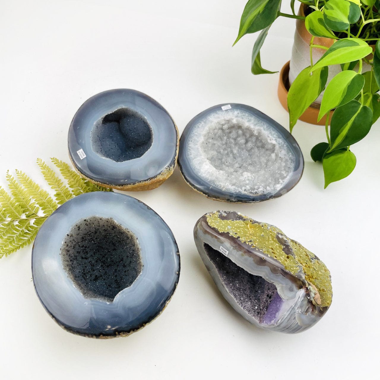 4 Polished Agate Geodes with Druzy Centers