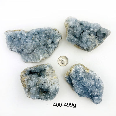 Celestite Crystals in size 400-499g next to a quarter for size reference
