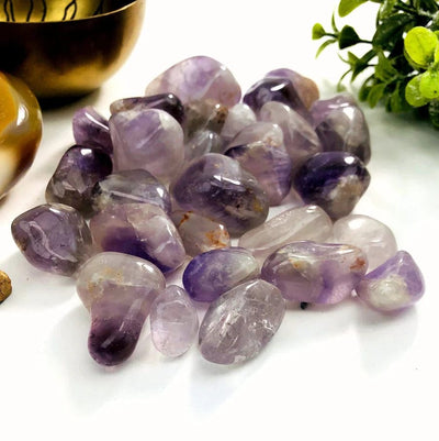 1 lb Amethyst Tumbled Gemstones from the side
