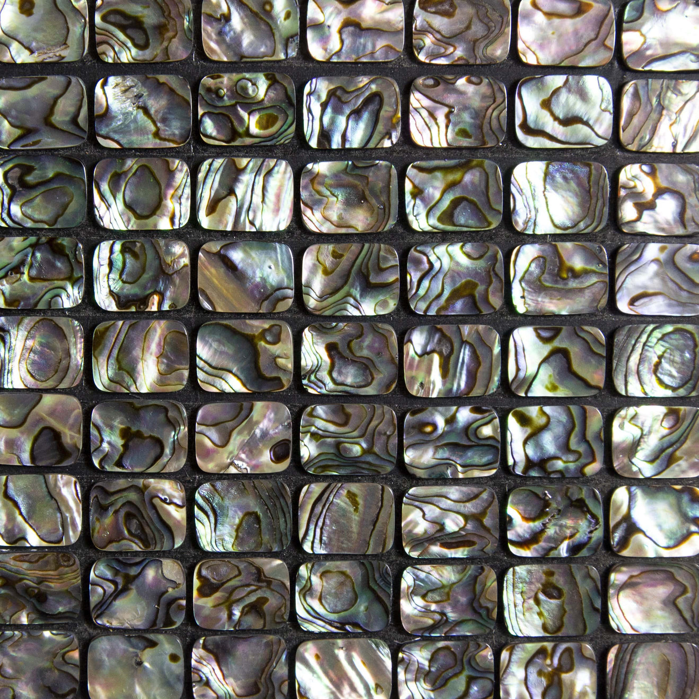 Multiple Abalone Rectangles displaying the front.