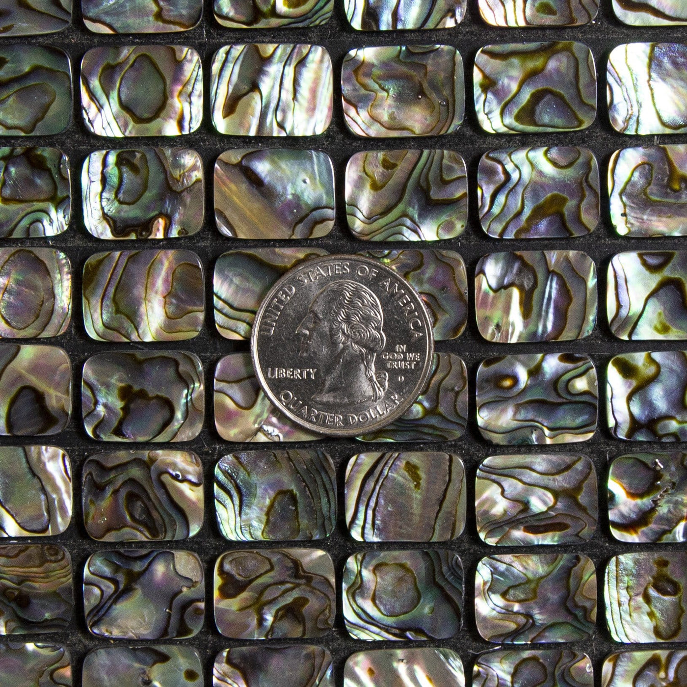 Multiple Abalone Rectangles displayed with a quarter.
