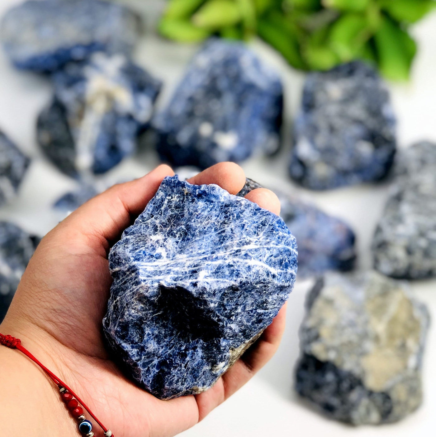 one sodalite rough stone piece in hand for size reference with many others in the background