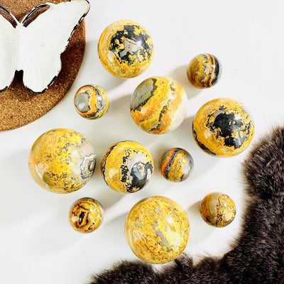 Bumble Bee Jasper Spheres - different sizes on a table