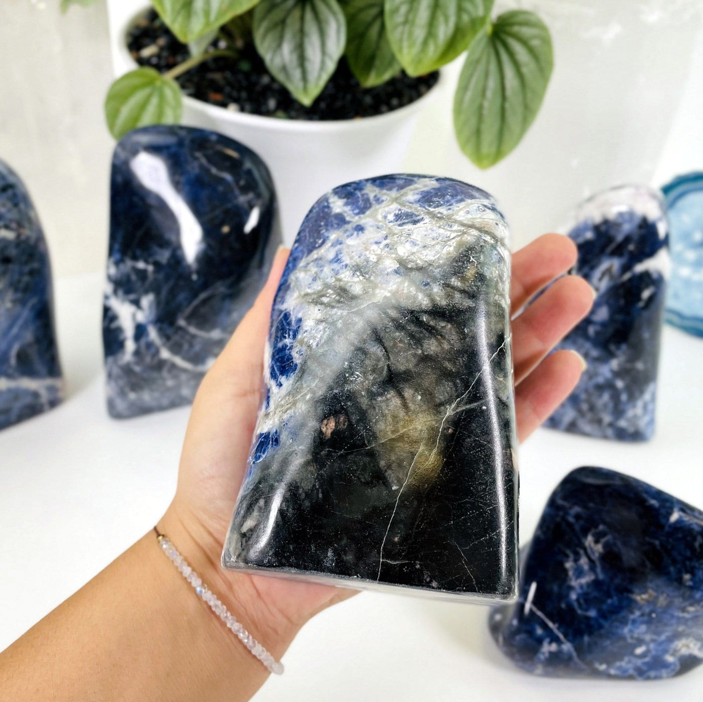 one sodalite polished cut base in hand for size reference with four others in background display