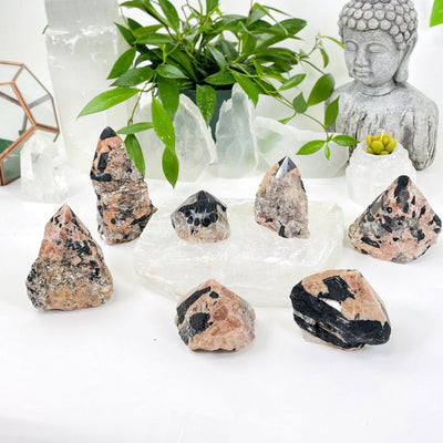various Black Tourmaline with Feldspar to show height and width differences