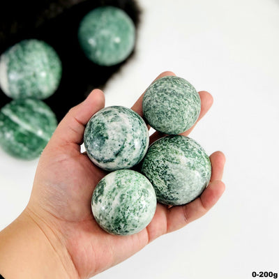 Qinghai Jade Quartz Polished Spheres - view of four jade quartz spheres