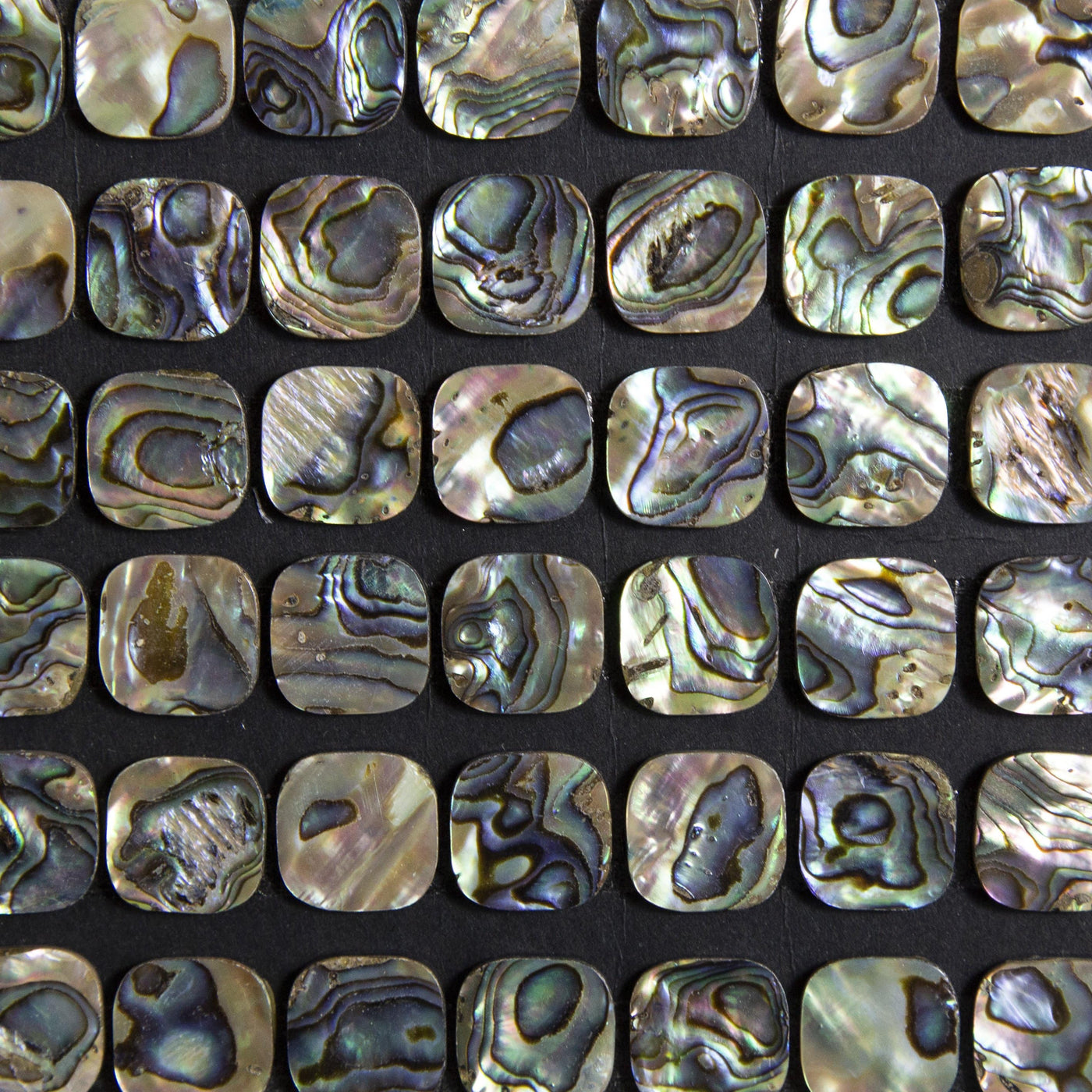 Multiple Abalone Squares displaying the front view.