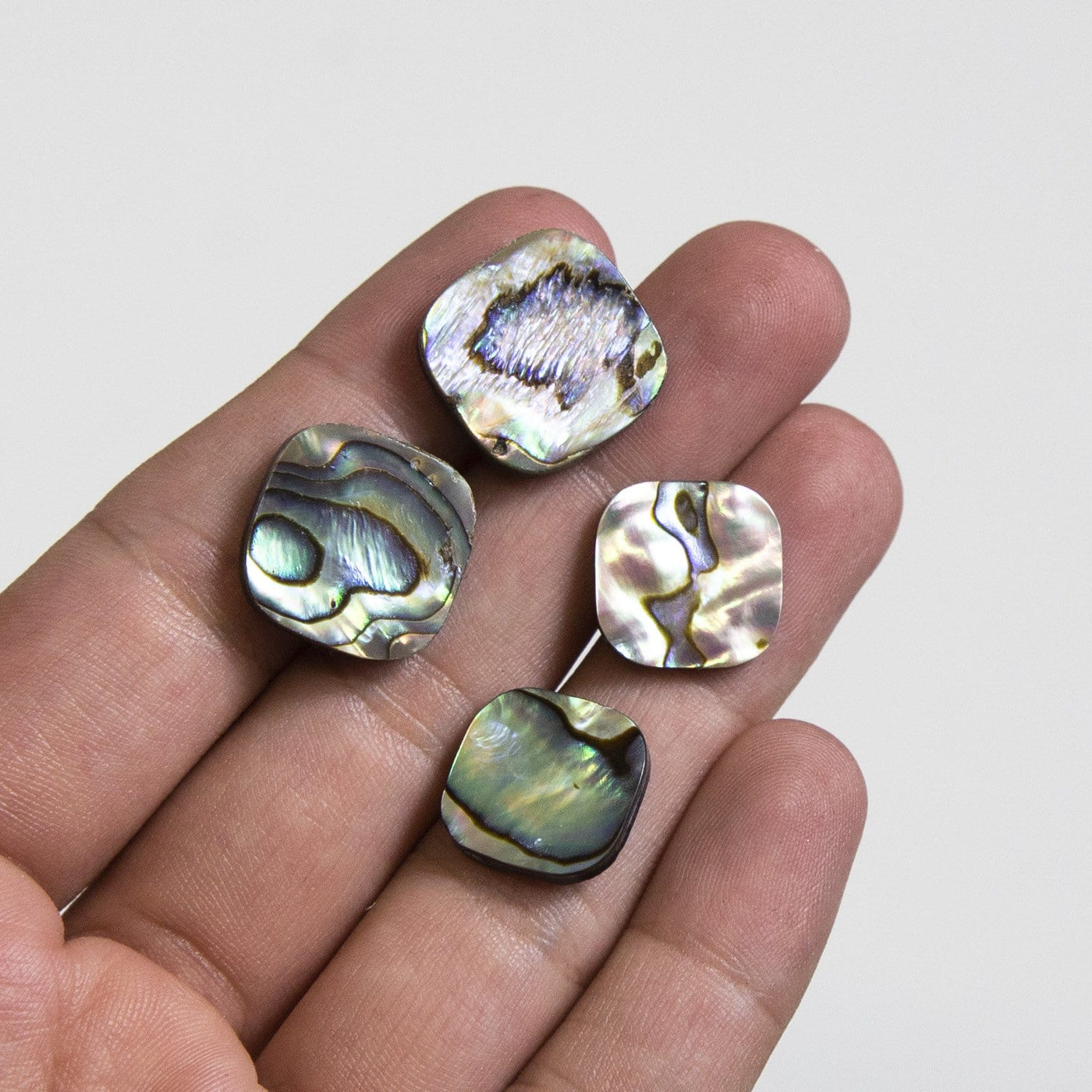 4 Abalone squares in a hand.
