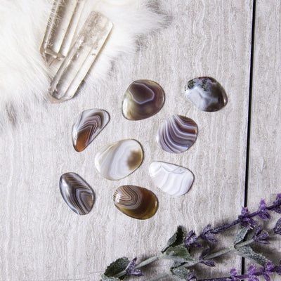 8 lace agate cabochons with decorations on gray background