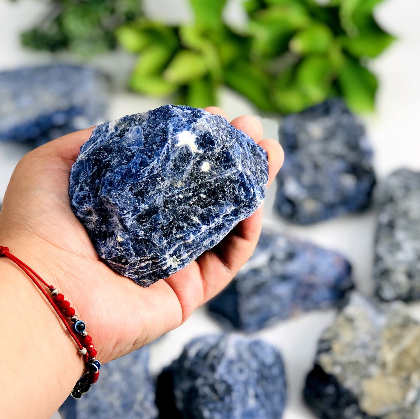 one sodalite rough stone piece in hand for size reference with many others in the background