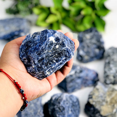 one sodalite rough stone piece in hand for size reference with many others in the background