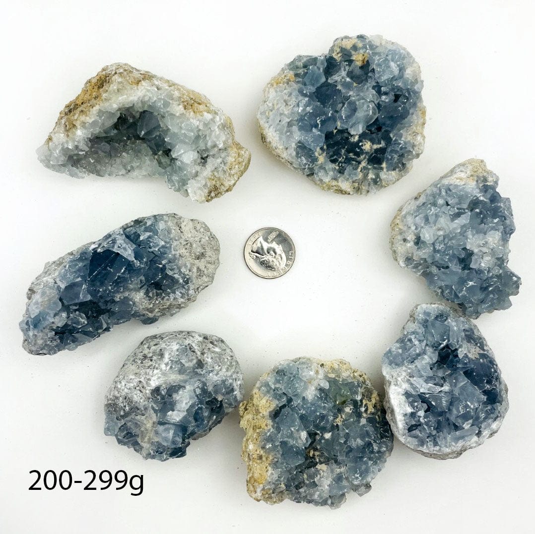 Celestite Crystals in size 200-299g next to a quarter for size reference