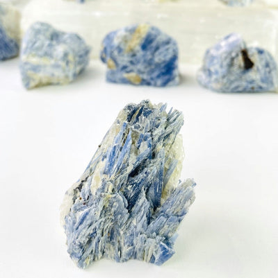 raw kyanite displayed to show variations