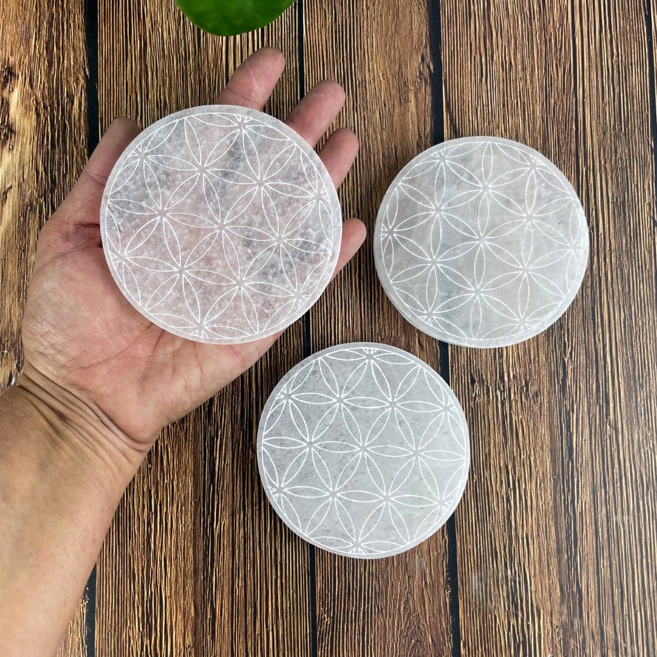 selenite round plate engraved with flower of life in hand for size reference with two others in background display for possible variations
