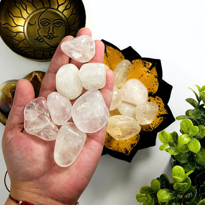 Crystal Quartz tumbled stones in a hand with more in a lotus metal bowl behind it.  8 pieces fit in the hand.
