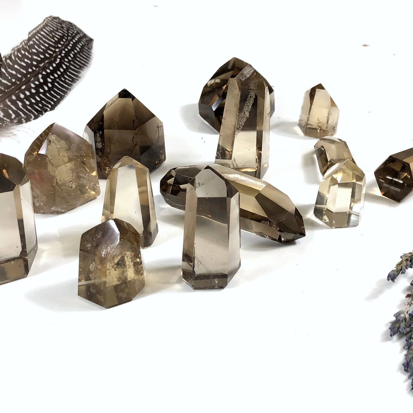 Polished Natural Citrine Points  (EX-101)