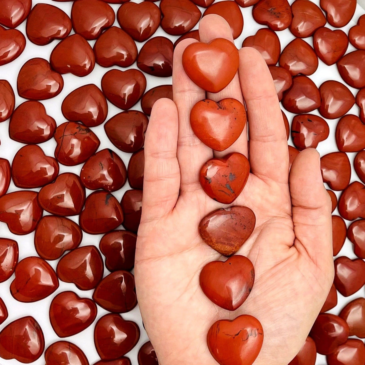 Hand holding up 6 Red Jasper Heart Shaped Stones in front of more scattered on white background