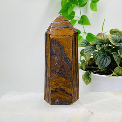 Front side Shot of Tigers eye Polished Tower for this listing, The tigers eye polished tower is being displayed on a white marbled surface and white back ground next to a green natural plant.