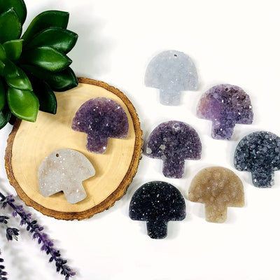 8 druzy mushroom cabochons with decorations on white background