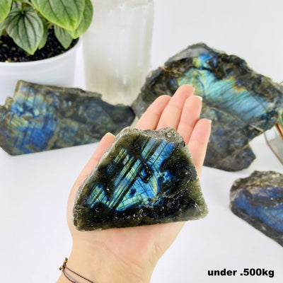 labradorite cut base in hand for size reference in weight under .500kg