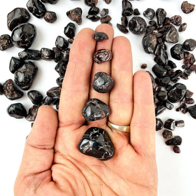 various sizes of Garnet Small Tumbled Stones in a hand