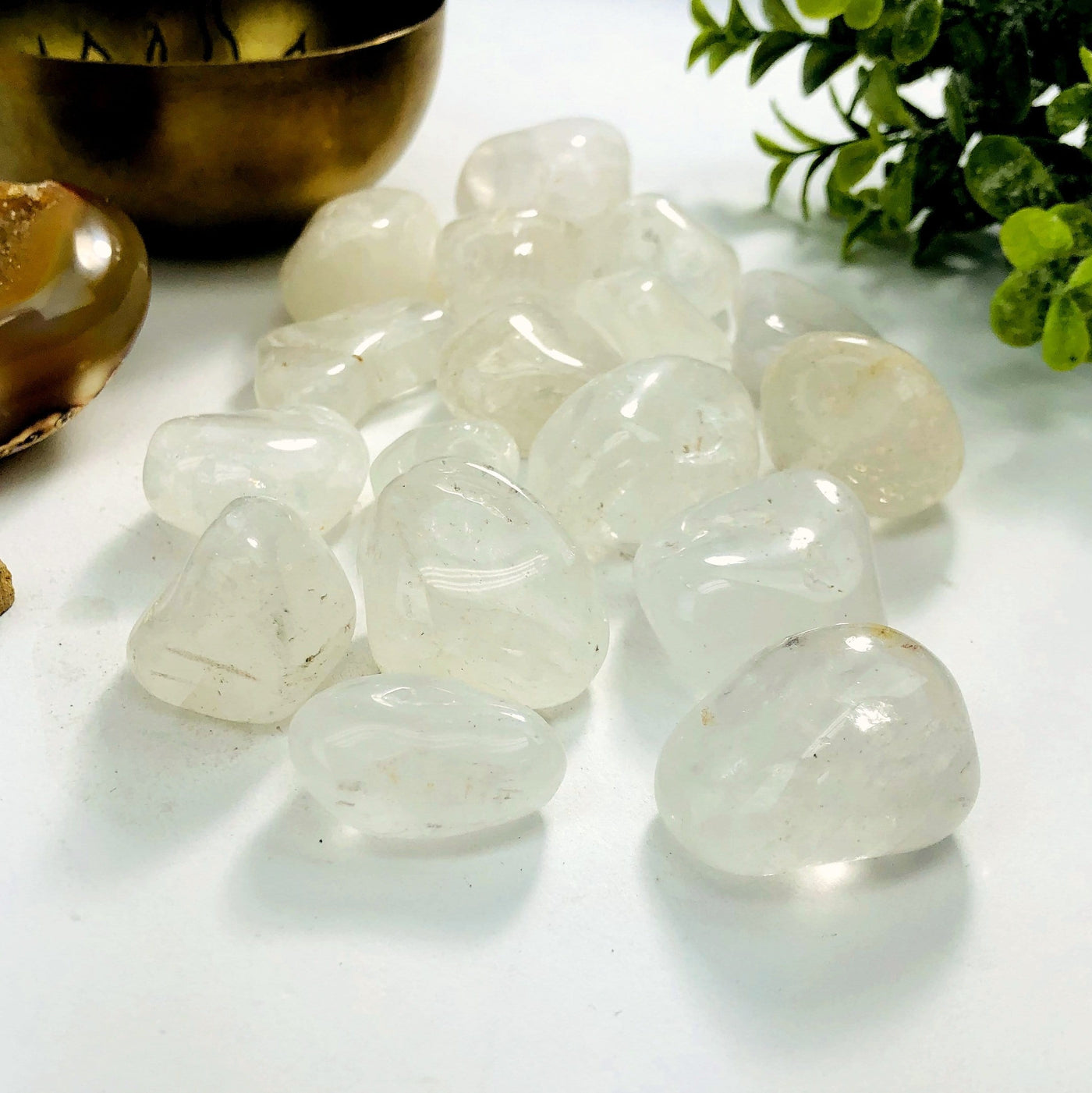 Crystal Quartz tumbled stones on a white background.