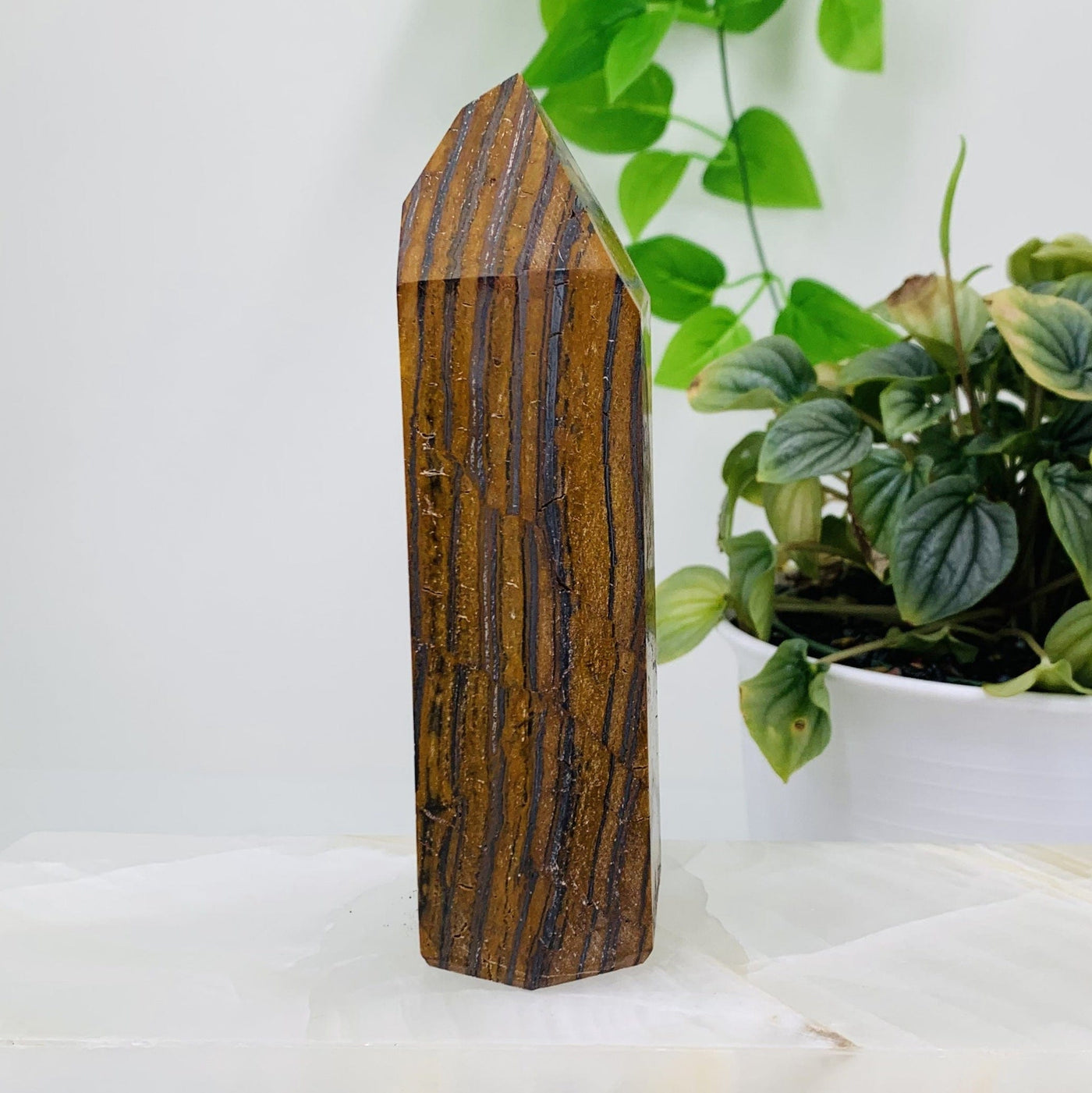  Side Shot of Tigers eye Polished Tower for this listing, The tigers eye polished tower is being displayed on a white marbled surface and white back ground next to a green natural plant.