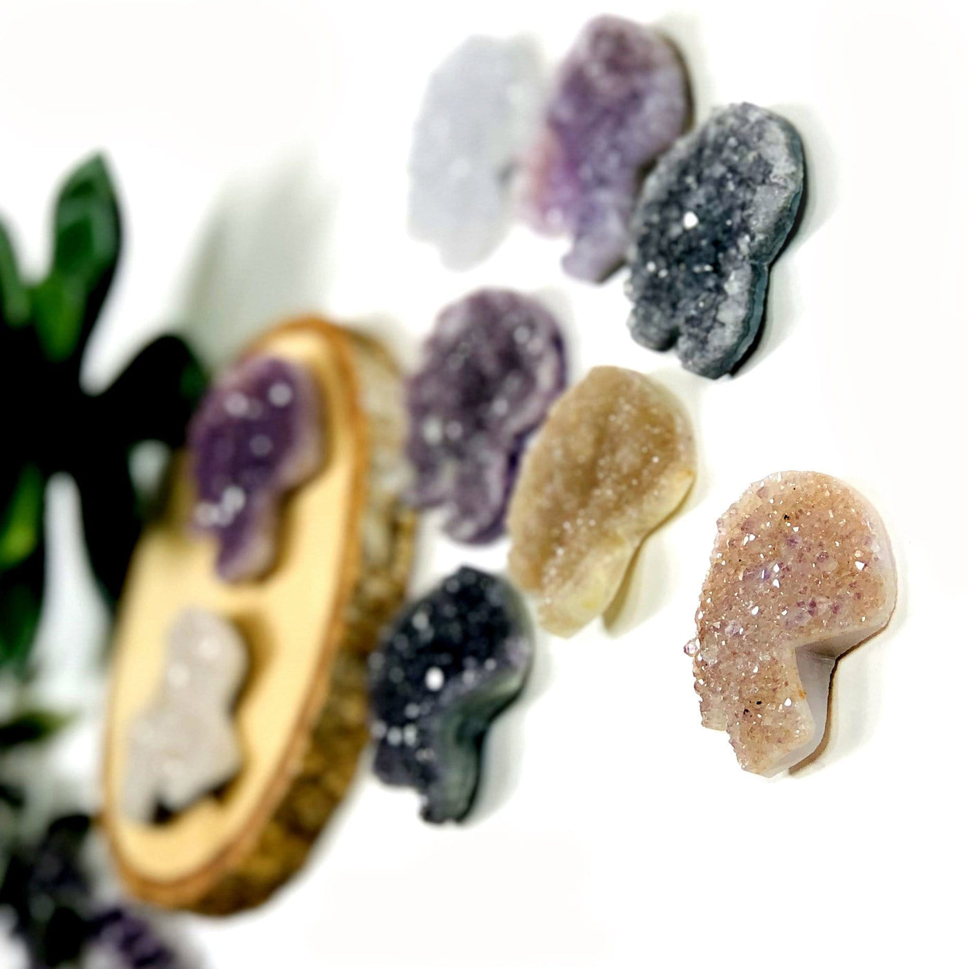angled shot of druzy mushroom cabochons with decorations in the background