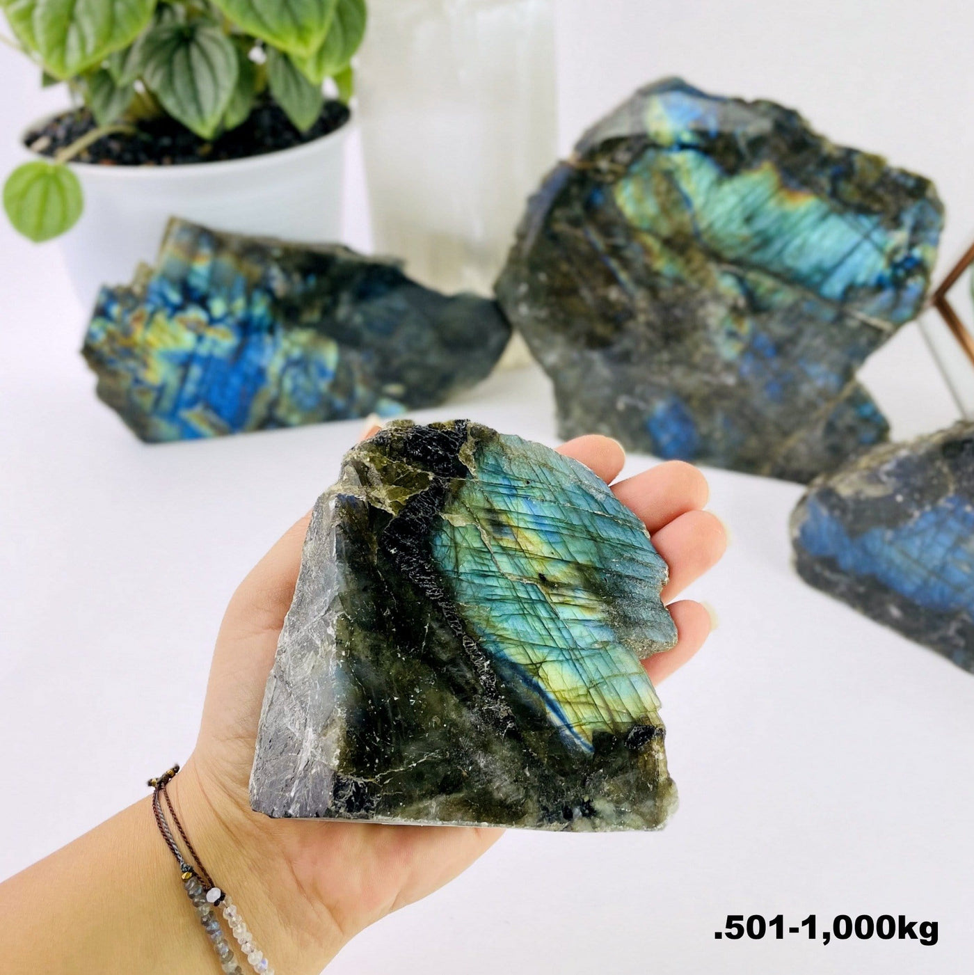 labradorite cut base in hand for size reference weight  in .501-1000kg
