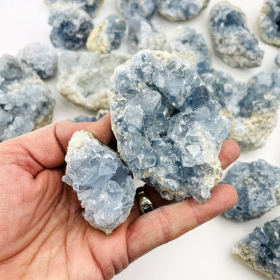 Celestite Crystals in a hand for size reference