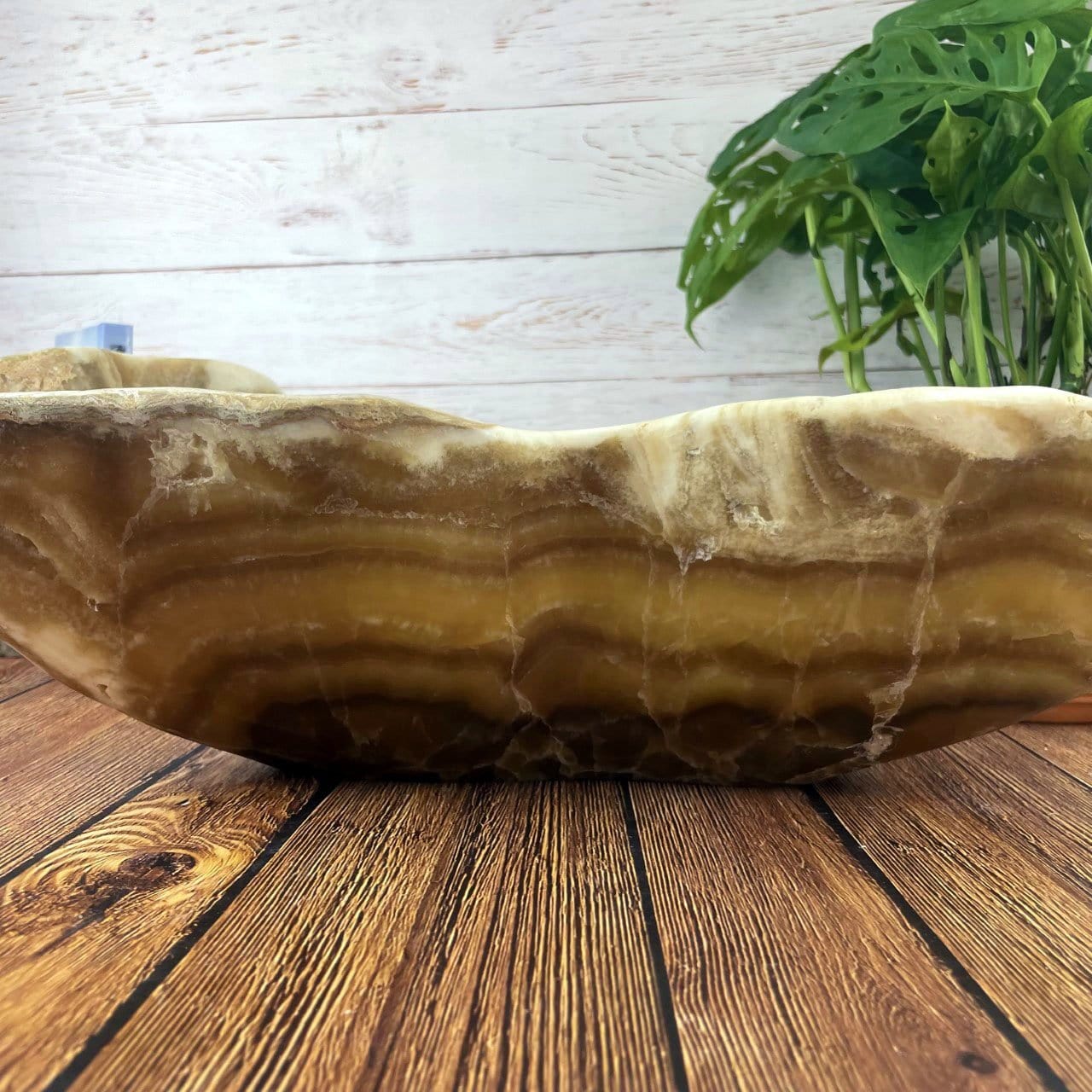 side view of Mexican Onyx Bowl with plants in the background