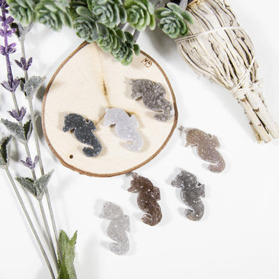 druzy seahorse cabochons with decorations in the background