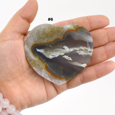 Agate heart slice #6 in a hand with a white background.