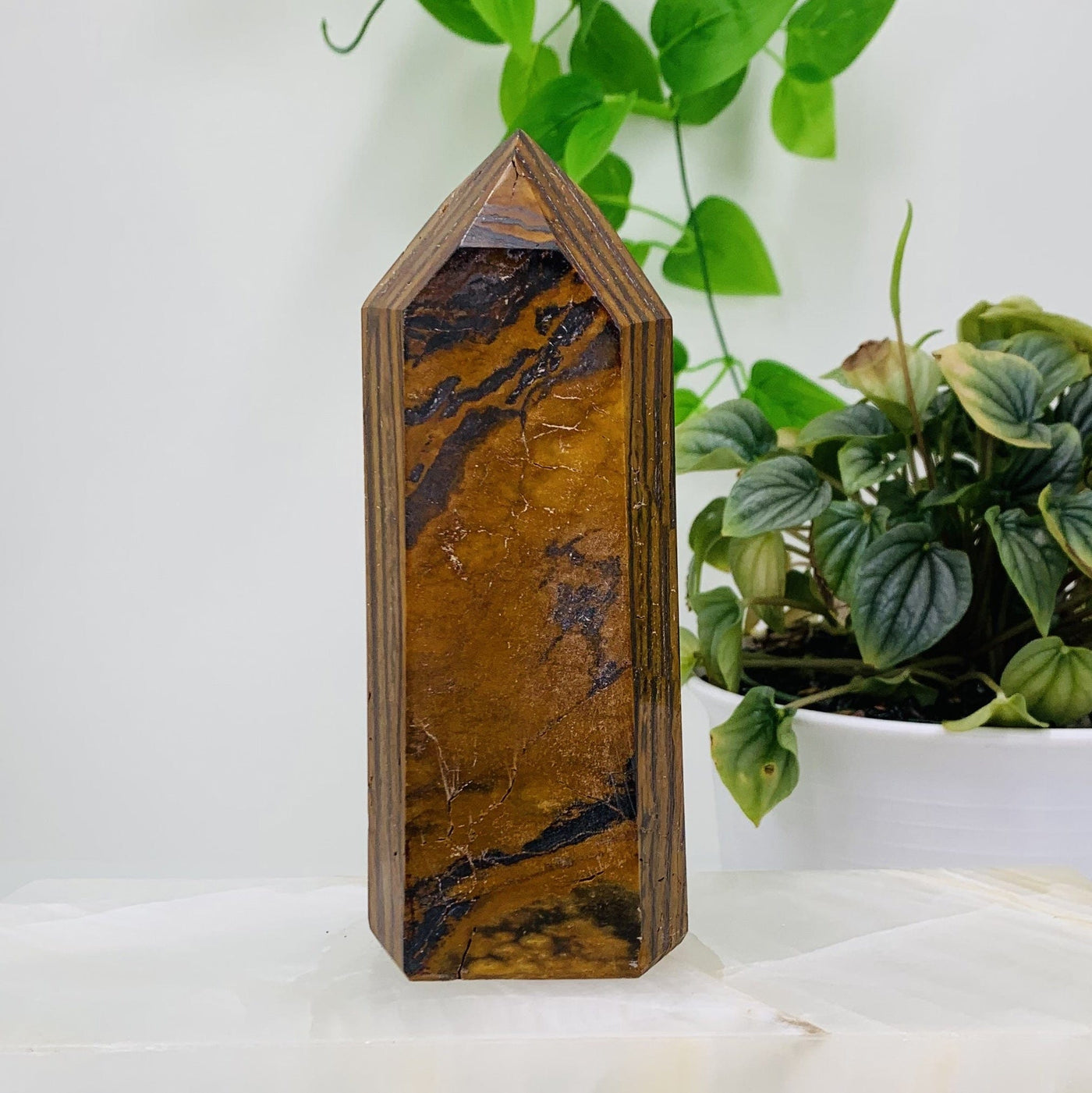 Back side Shot of Tigers eye Polished Tower for this listing, The tigers eye polished tower is being displayed on a white marbled surface and white back ground next to a green natural plant.