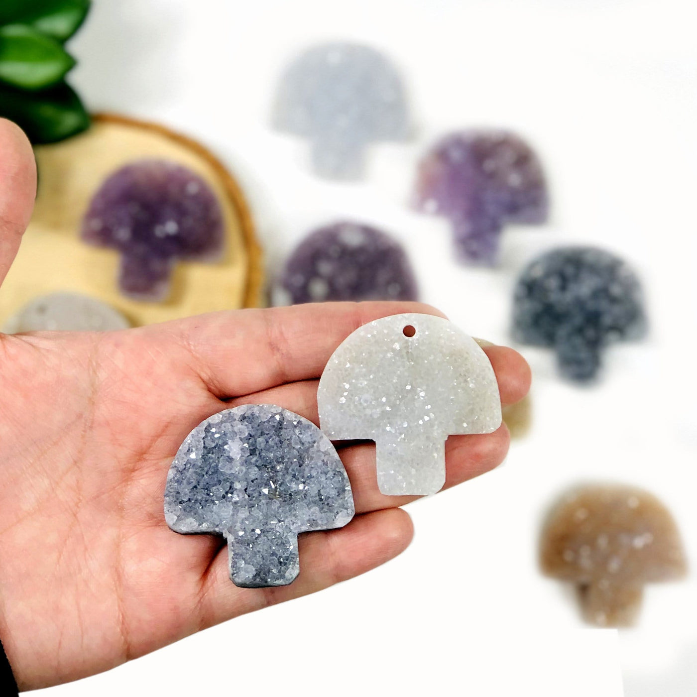 hand holding up 2 druzy mushroom cabochons with more in the background