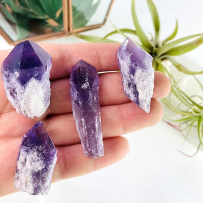 Elestial Amethyst Point/Cluster different size on a hand