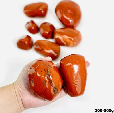 Hand holding up 2 300-500g Red Jasper tumbled Stones with others blurred on white background