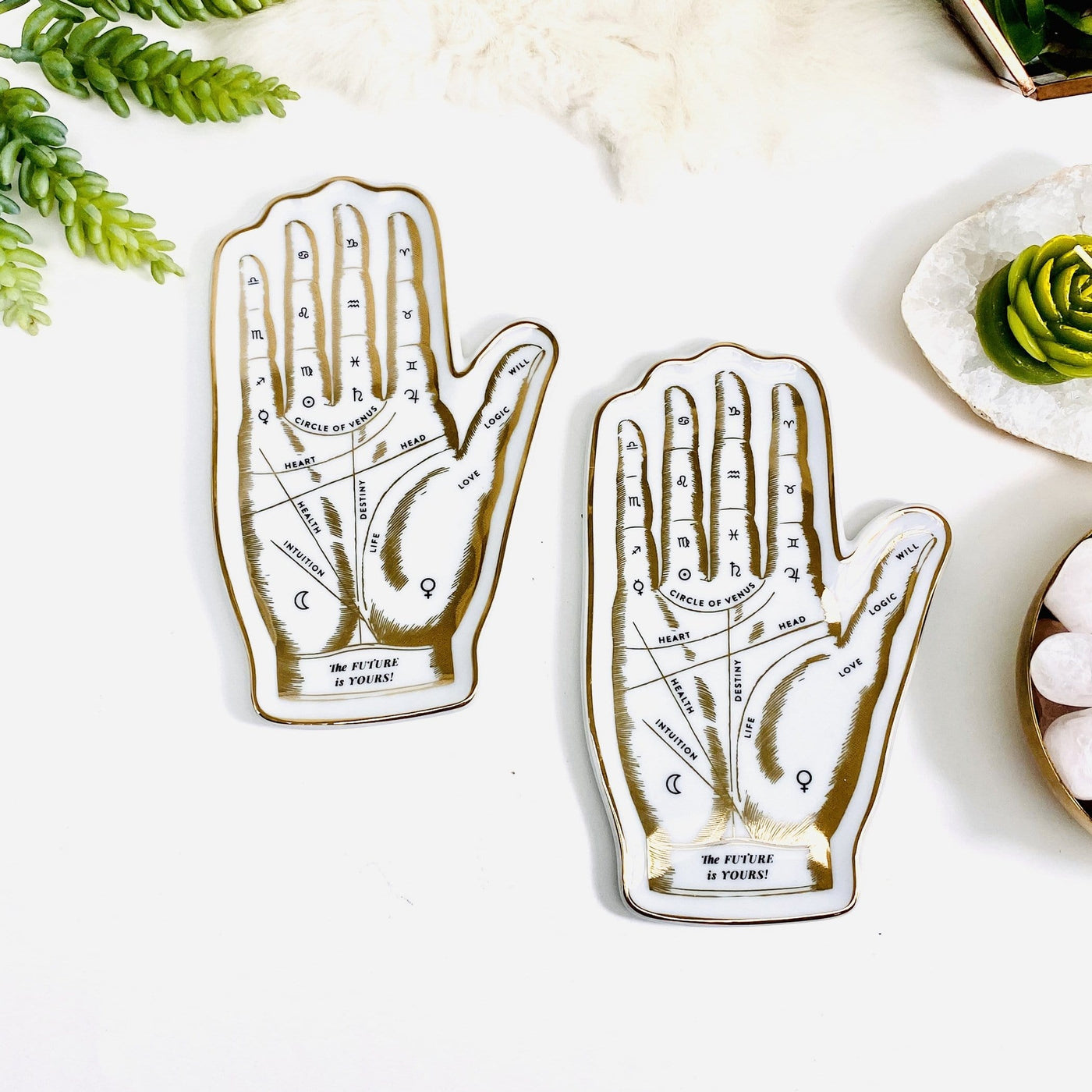 Two white and gold Palmistry Hand The Future is Yours Shaped Porcelain Tray  in white background