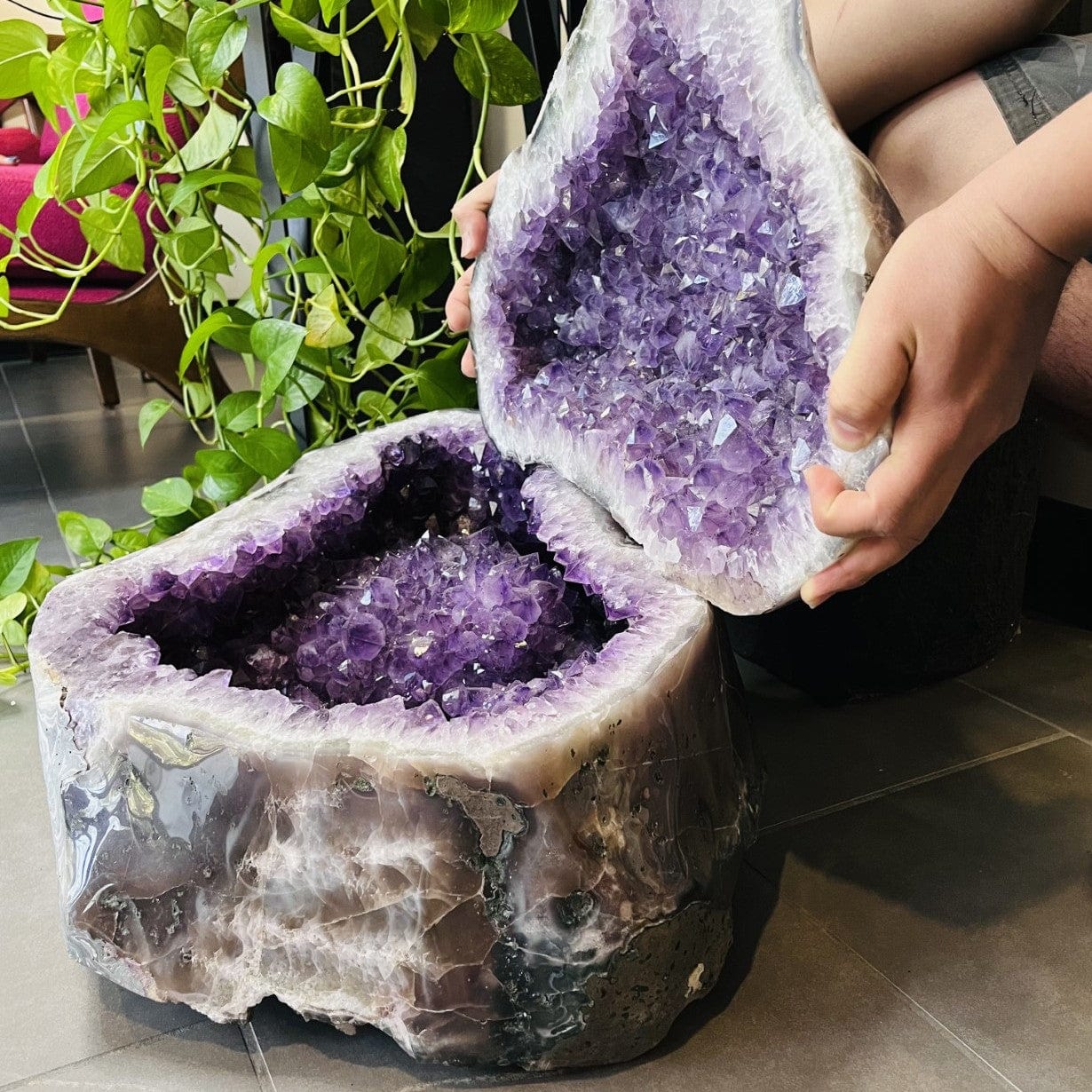 Amethyst Polished Cave Geode with a Lid opened up to reveal crystals inside