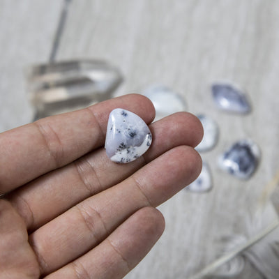 Dendritic Opal Cabochon in Hand on Gray Background