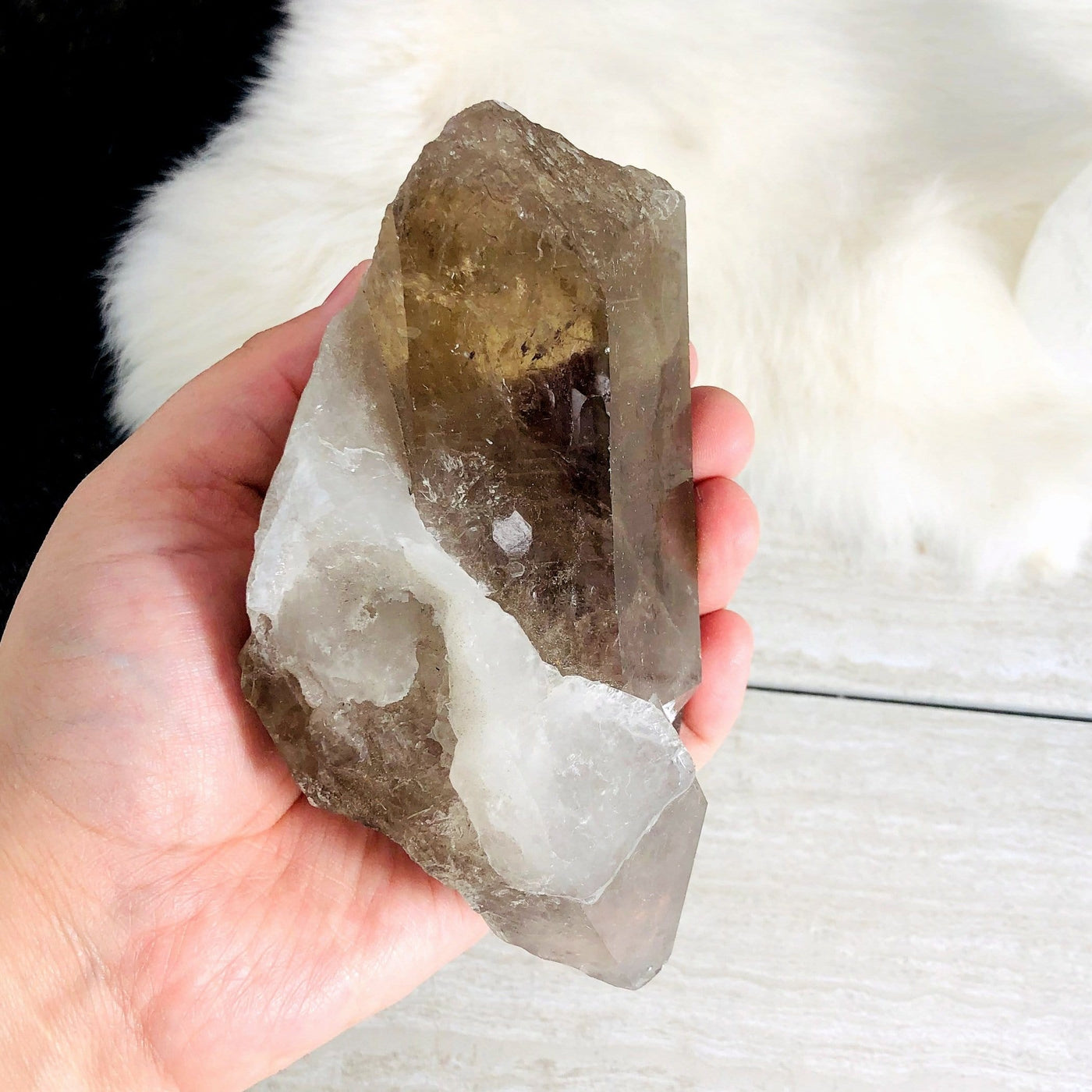 side view of smokey quartz raw point in hand for thickness