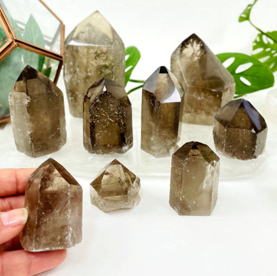 one smokey quartz polished point in hand for size reference with many others on display
