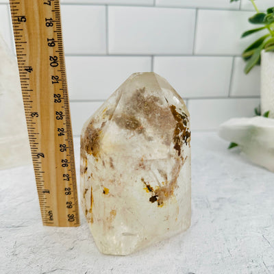 Crystal Quartz Polished - with ruler for size reference   